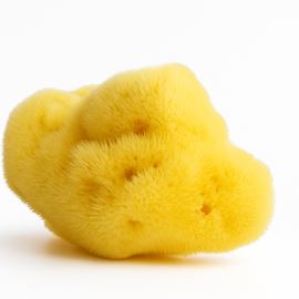 Éponge de mer naturelle, 5-6 cm - SILK FINE