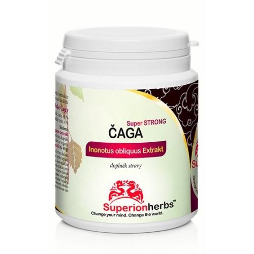 Chaga, 100% Chaga de Sibérie, extrait de champignon