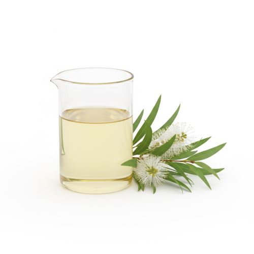 Cajeput, huile essentielle