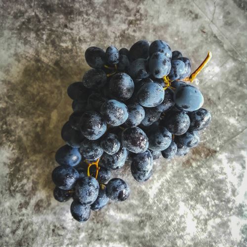 Beurre de pépins de raisin