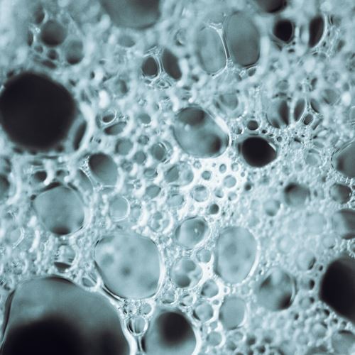 Shampoing pour cheveux sauvages