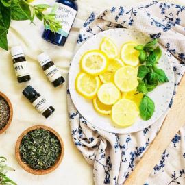 Répulsifs naturels - matières premières pour vous protéger des insectes nuisibles