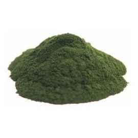 Chlorella