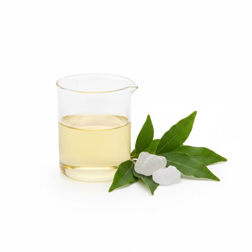 Camphre, huile essentielle