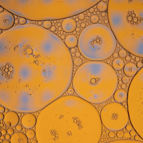 Sérum à l'acide hyaluronique