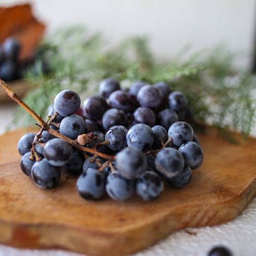 Huile de pépins de raisin