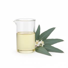 Eucalyptus menthol, huile essentielle 10 ml