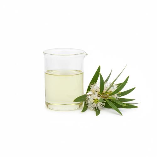 Niaouli, huile essentielle