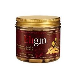 KITL Eligin Miracle de gingembre BIO