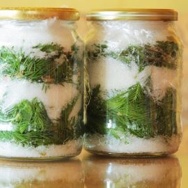 Sirop d'épicéa pour les rhumes et la toux et la teinture pour les pieds douloureux par Zdenička