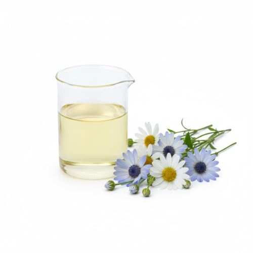 camomille bleue, parfum cosmétique