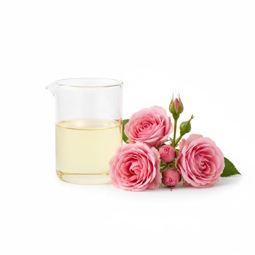 Dilution de Rose Huile Essentielle