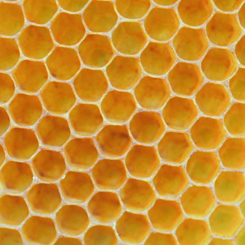 Il n'y a pas de cire comme la cire - vous ne pouvez pas remplacer la cire émulsifiante par de la cire d'abeille