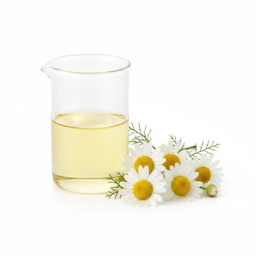 Camomille antiallergique, parfum cosmétique